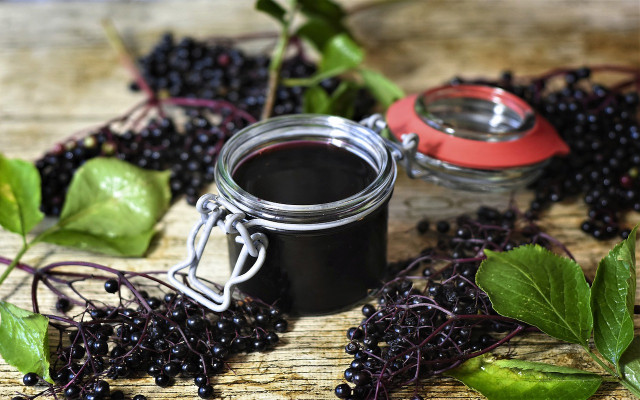 wild elderberry jam 