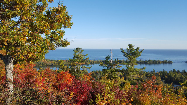 watch-the-trees-change-color-in-michigan-cc0-pixabay-sjsecretary-220919_download Watch the trees change color in Michigan.