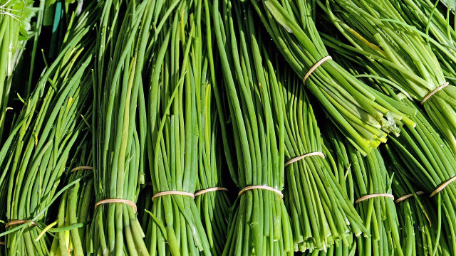 how to freeze chives