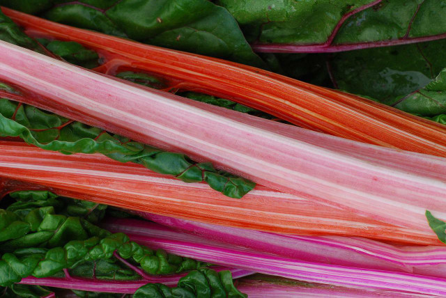 Spice things up by adding rhubarb to your salad routine.