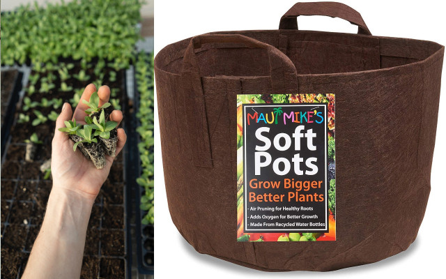 PlantingBags-CCMauiMikes-usZoeSchaeffer-210330-1280x800 Planting Bags Garden