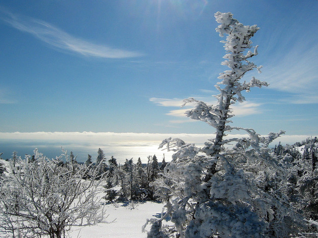 Acadia national park is perfect for snow sport enthusiasts to visit in winter.