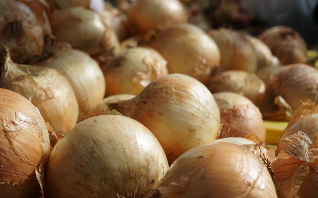 Earache relief onions household ingredients earache home remedy
