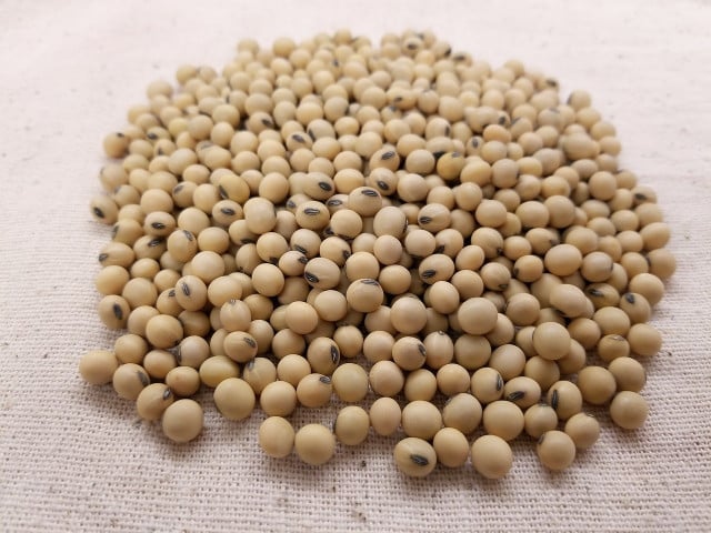 Most soya grown is to make livestock feed.