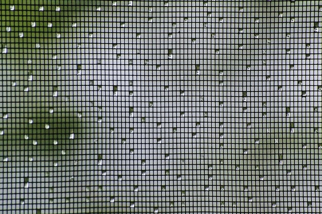 Fly screens make it harder for spiders to enter your basement.