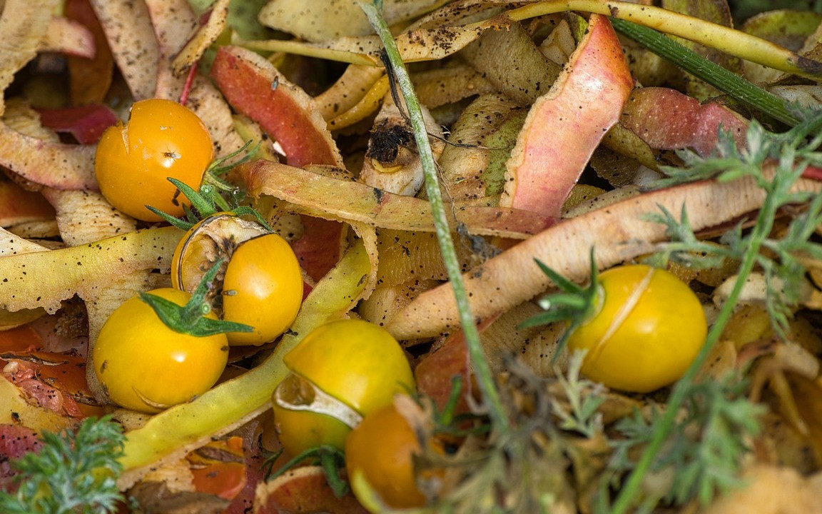 The Biggest Benefits Of Composting At Home