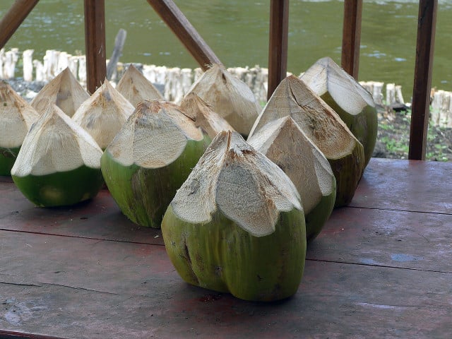 Coconut water contains electrolytes.