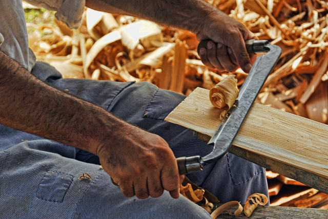 Wood workers in the South often craft with wood from the Carolina silerbell..