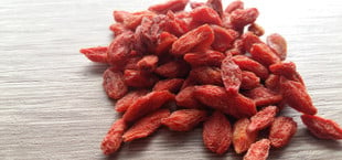 growing goji berries