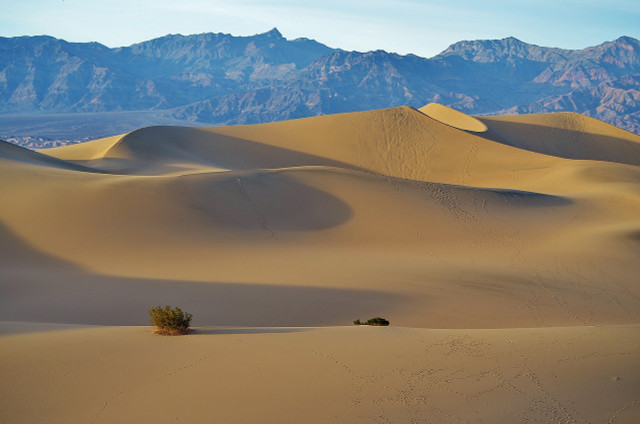 The Mesquite sand dunes in Death Valley are one-of-a-kind.