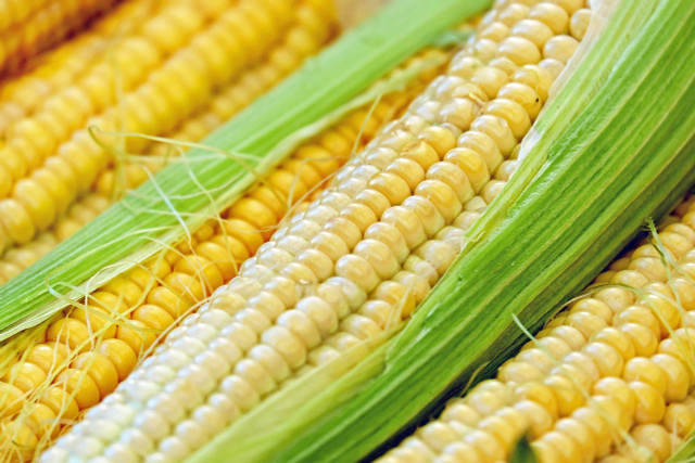 By storing and reheating corn on the cob you can reduce food waste.