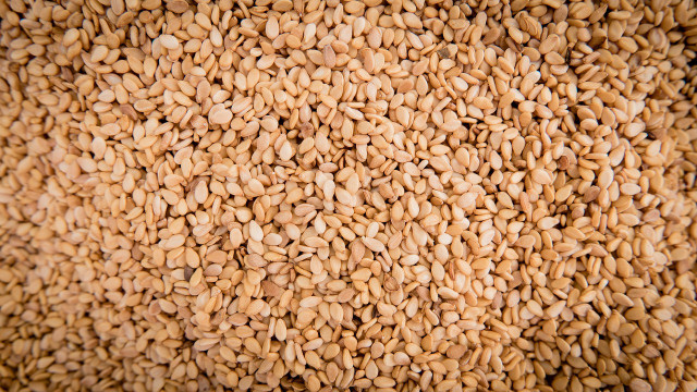 Sesame seeds and gingelly oil are nutritious and healthy.