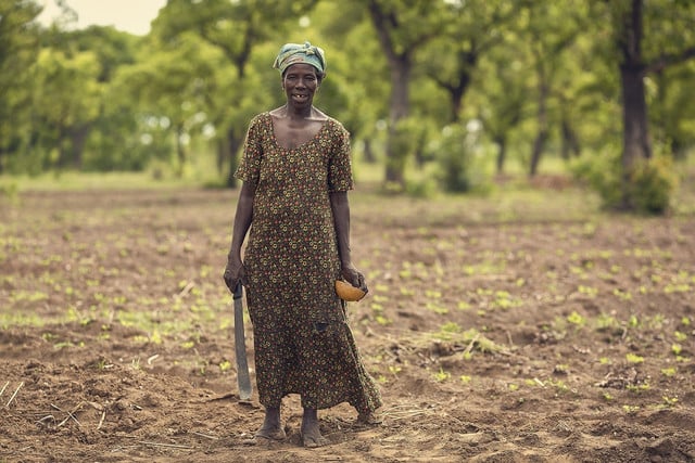 Conditions for cashew workers are improving.