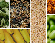 natural sources of magnesium
