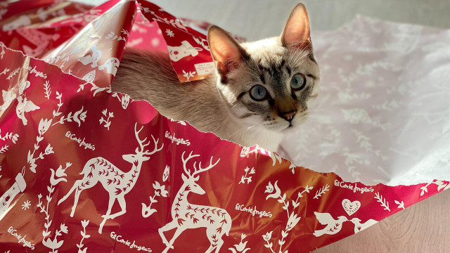 can you recycle wrapping paper