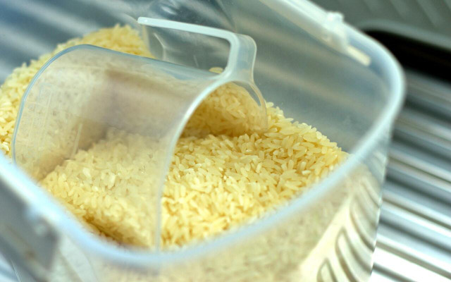 Rice should be stored long term in airtight containers away from any source of light.