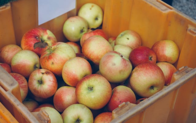 Storing apples storage techniques orange bin