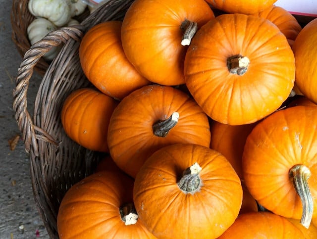 Look for beautiful, brightly-colored pumpkins at your local farmer's market in autumn. 