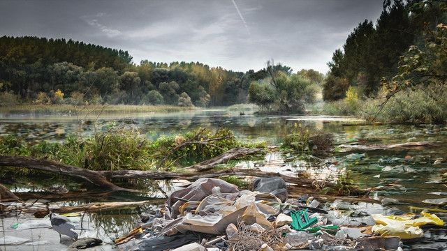 Plastic-eating mushrooms will be required across the globe. 