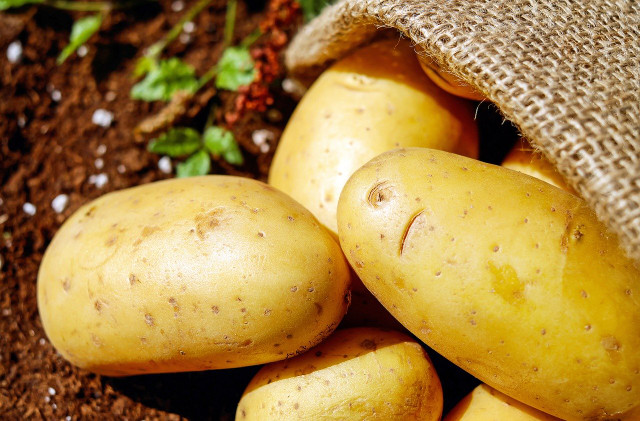 can you eat green potatoes