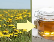 You can easily make dandelion honey yourself.