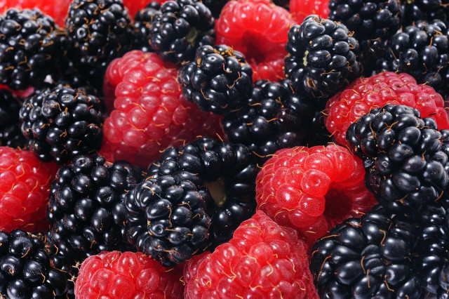 The berries for your protein shakes.