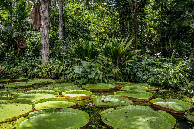 preservation-is-about-protecting-resources-cc0-pixabay-tneto-230115_download Preservation is about protecting resources.