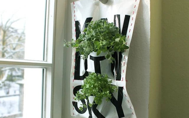 Repruposed plastic bags are the perfect solution for hanging plants.
