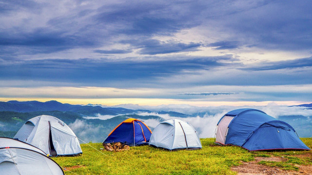 Immerse yourself in nature by going camping. 
