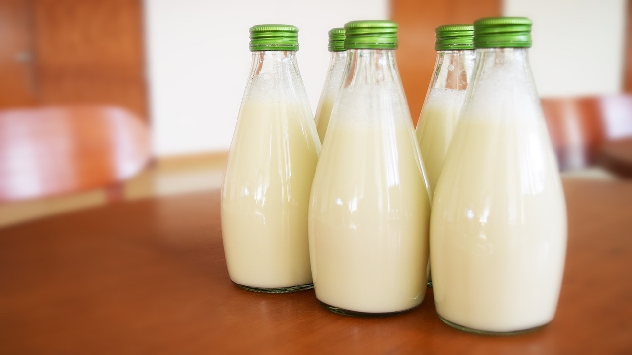 Can you freeze milk? Tips for freezing and defrosting