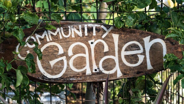 how to start community garden