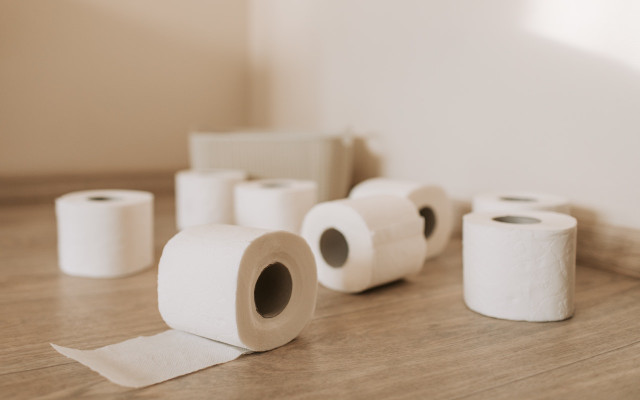 toilet-paper-e-vlada-karpovich-021020-1280x800jpg zero waste bathroom - toilet paper