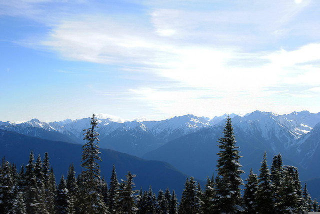Check out the snow at Olympic National Park in winter. 