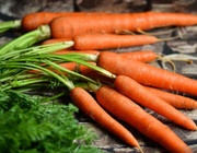 how to grow carrots from carrot tops