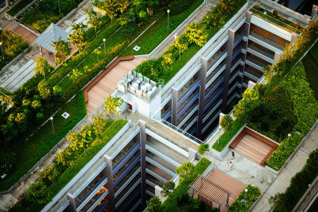 Green rooftops and green architecture are part of the solution.