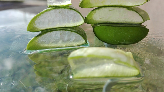 Aloe vera is edible provided you wash it to remove the layer of latex first.