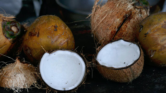 Coconut meat is shredded and soaked to make vegan coconut milk.