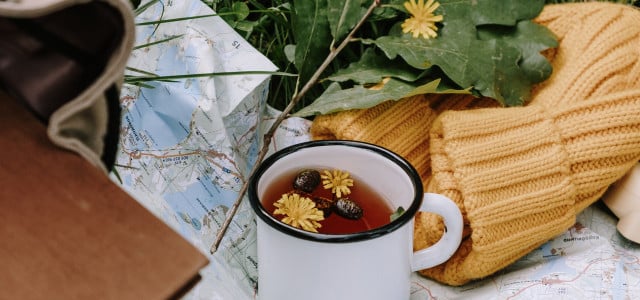 how to make dandelion tea