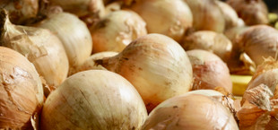 Onion skins uses