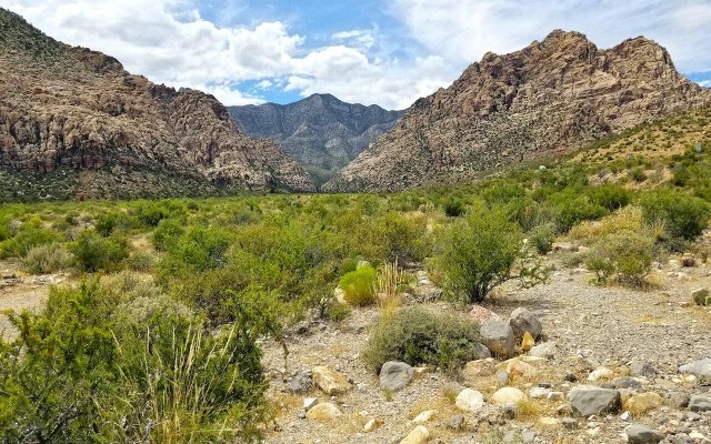 If you're looking to escape the desert heat, this is one of the best hikes near Las Vegas.