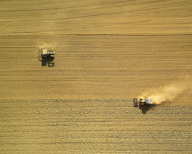 Many of the beans that go into making soy products are actually grown in the US. 