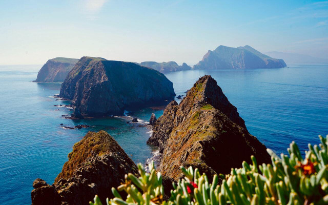 Channel Islands National Park is the only West Coast national park that is located off the coast. 