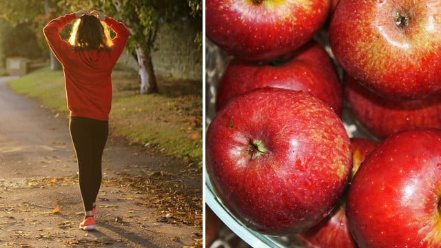jogger apples stay fit