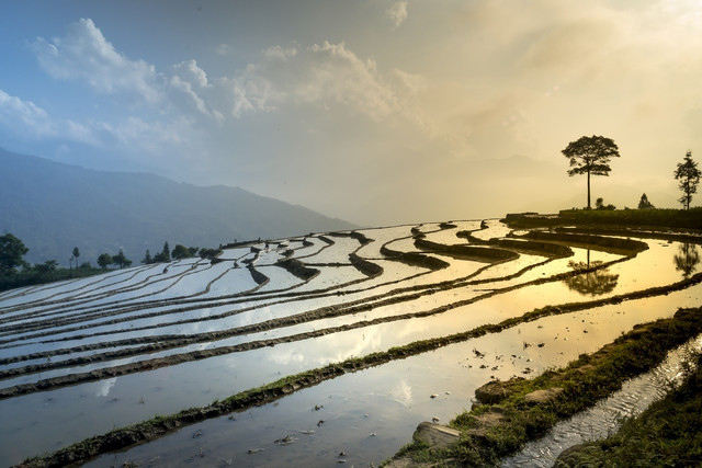 Although rice requires a lot of water in it's production, it provides sustenance for billions of people every day.