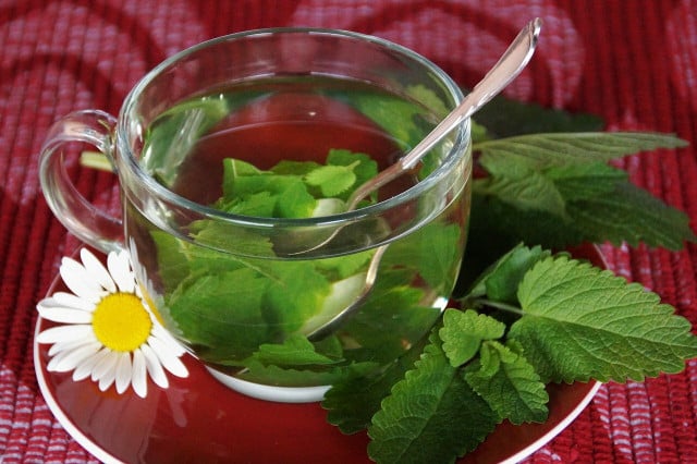 There are countless flowers and herbs that you can use to make delicious teas.