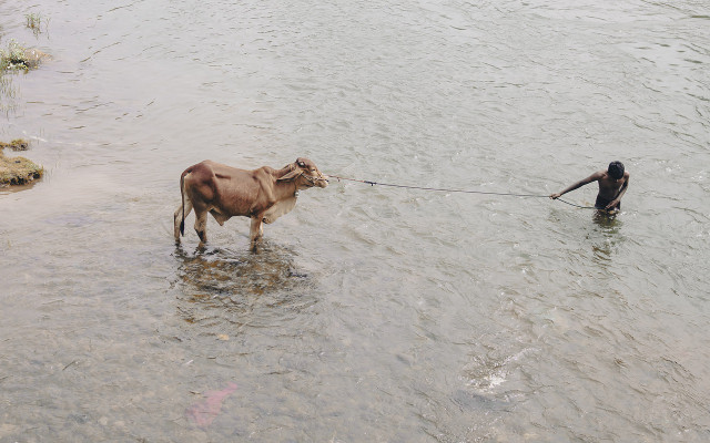 what-is-subsistence-farmings-role-in-environmenta-cc0-pixabay-bakashotit-230220_download What is subsistence farming's role in environmental protection?