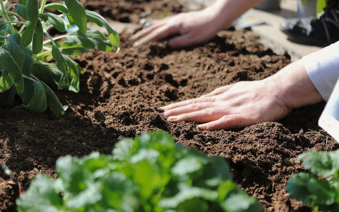 Gardening in Clay Soil - Pros & Cons + How To Improve
