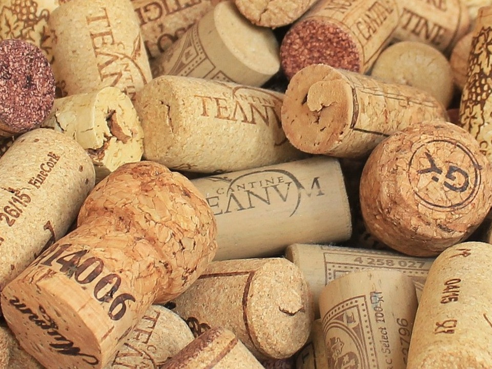 What Is Cork?