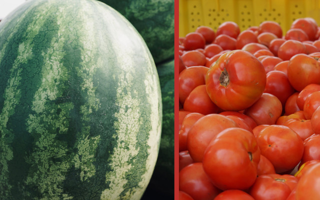 Foods you can't freezer water-rich fruits vegetables watermelon tomatoes