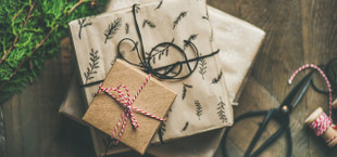 gifts for environmentalists